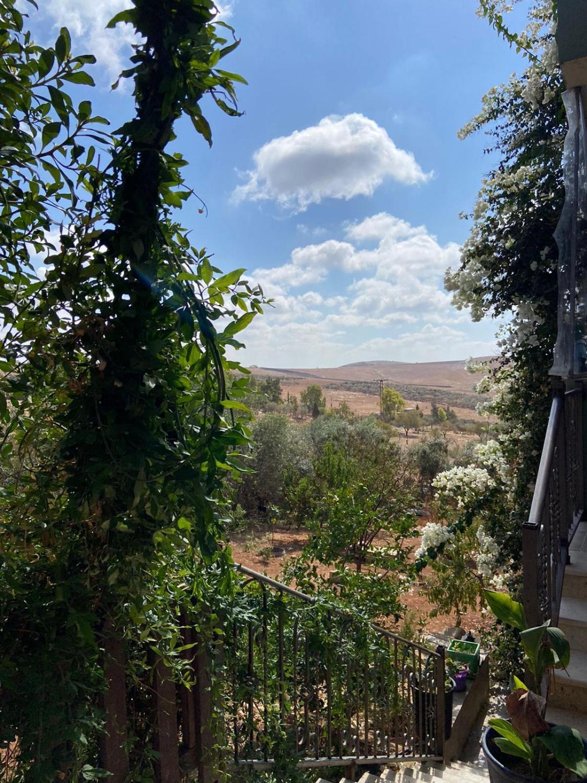 Simple Apartment Madaba